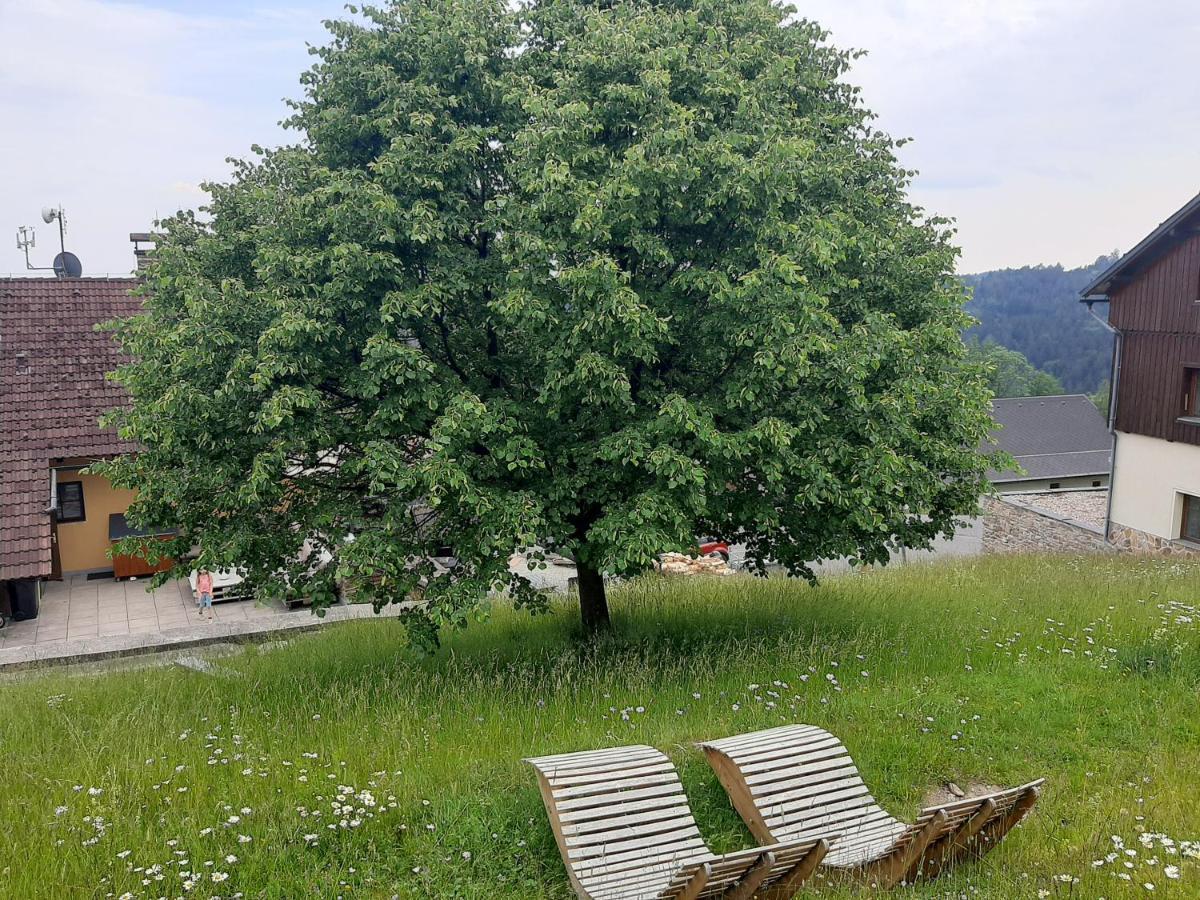 Na Buďárce Paseky nad Jizerou Esterno foto